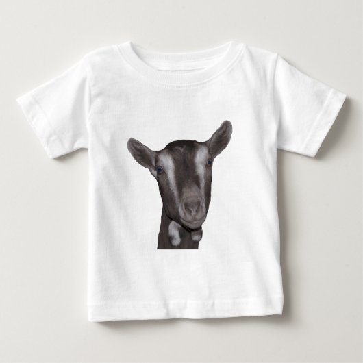 Toggenburg Goat (Voorkant)