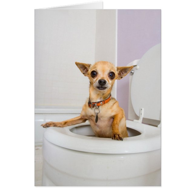 Toilet Bowl (water weggelekt) (Voorkant)