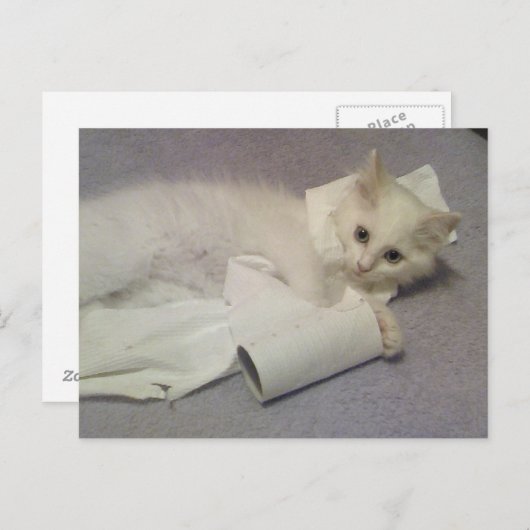 toiletpapier briefkaart (Voorkant / Achterkant)