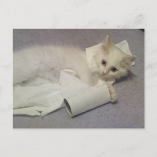 toiletpapier briefkaart