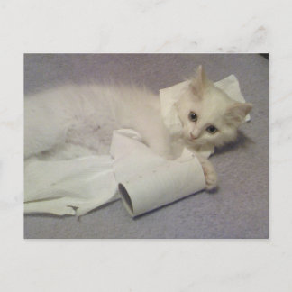 toiletpapier briefkaart