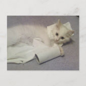 toiletpapier briefkaart (Voorkant)