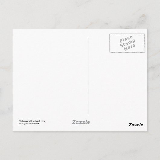 Toiletplanters Briefkaart (Achterkant)