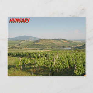 Tokaj wijngaarden, Hongarije Briefkaart