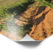 Tokaj wijngaarden, Hongarije Foto Afdruk (Hoek)