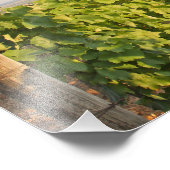 Tokaj wijngaarden, Hongarije Foto Afdruk (Hoek)