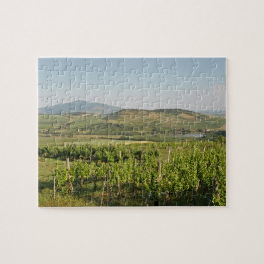 Tokaj wijngaarden, Hongarije Legpuzzel (Horizontaal)