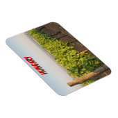 Tokaj wijngaarden, Hongarije Magneet (Rechterzijde)