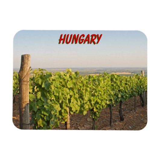 Tokaj wijngaarden, Hongarije Magneet (Horizontaal)