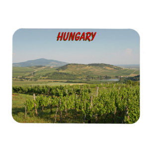 Tokaj wijngaarden, Hongarije Magneet