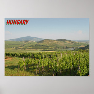 Tokaj wijngaarden, Hongarije Poster