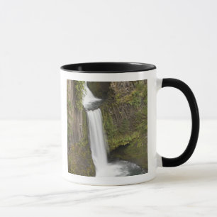 Toketee Falls in Douglas county, Oregon Mok