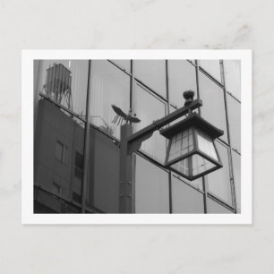 Tokio Straatverlichting: Asakusa Briefkaart