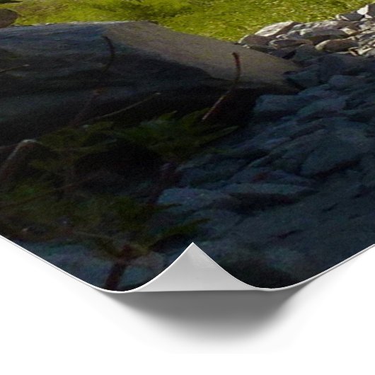 Tokopah Herfst I in het Nationaal Park Sequoia Poster (Hoek)