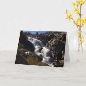 Tokopah Herfst II in het Nationaal Park Sequoia Kaart (Gele Bloem)