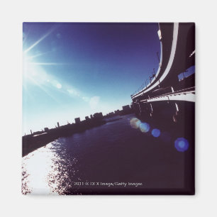 Tokyo Bay, Tokio Magneet