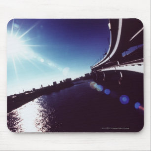 Tokyo Bay, Tokio Muismat