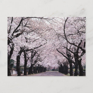 TOKYO BRIEFKAART