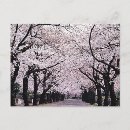 TOKYO BRIEFKAART (Voorkant)