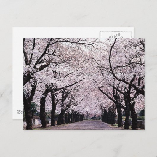 TOKYO BRIEFKAART (Voorkant / Achterkant)