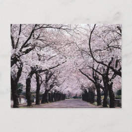 TOKYO BRIEFKAART