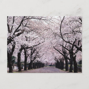 TOKYO BRIEFKAART