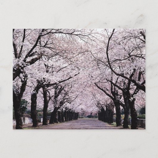 TOKYO BRIEFKAART (Voorkant)