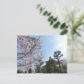 Tokyo Cherry Blossom Sakura Briefkaart (Staand voorkant)