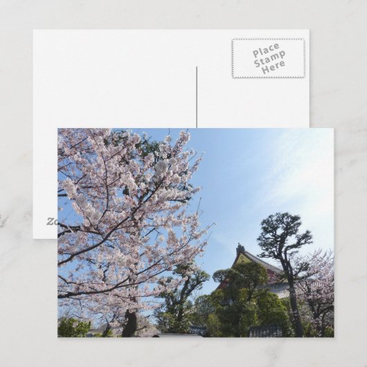 Tokyo Cherry Blossom Sakura Briefkaart (Voorkant / Achterkant)