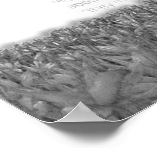 Tokyo Ghoul Re Kaneki en Arima Poster (Hoek)