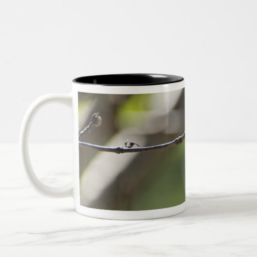 Tokyo Prefecture, Honshu, Japan Tweekleurige Koffiemok (Links)