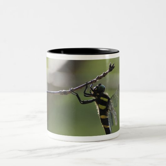 Tokyo Prefecture, Honshu, Japan Tweekleurige Koffiemok (Center)