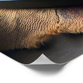 Tokyo Teriyaki Temptation 24x36 Poster (Hoek)