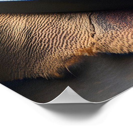 Tokyo Teriyaki Temptation 24x36 Poster (Hoek)