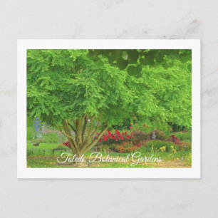 TOLEDO BOTANICAL GARDEN, TOLEDO, OHIO USA BRIEFKAART