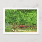 TOLEDO BOTANICAL GARDEN, TOLEDO, OHIO USA BRIEFKAART (Voorkant)