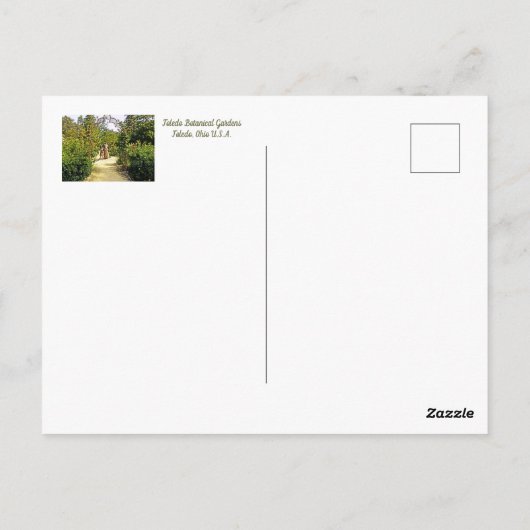 TOLEDO BOTANICAL GARDENS/TOLEDO OHIO BRIEFKAART (Achterkant)