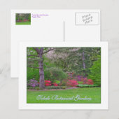 TOLEDO BOTANISCHE GARDENEN, SPRING, BRIEFKAART (Voorkant / Achterkant)