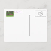TOLEDO BOTANISCHE GARDENEN, SPRING, BRIEFKAART (Achterkant)