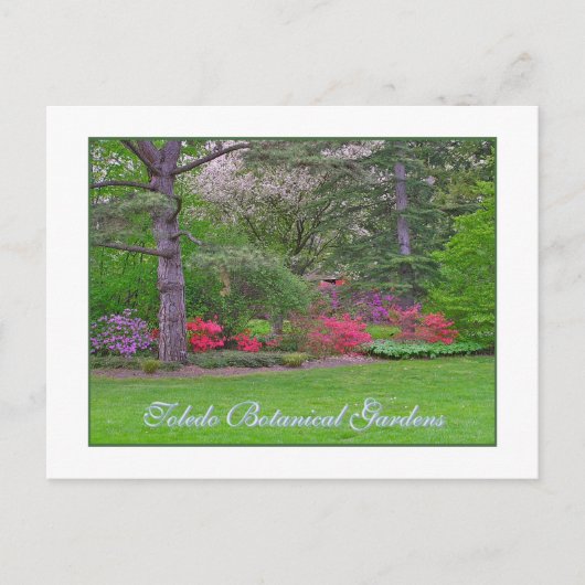 TOLEDO BOTANISCHE GARDENEN, SPRING, BRIEFKAART (Voorkant)