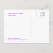TOLEDO BOTANISCHE GARDENEN, SPRING, BRIEFKAART (Achterkant)