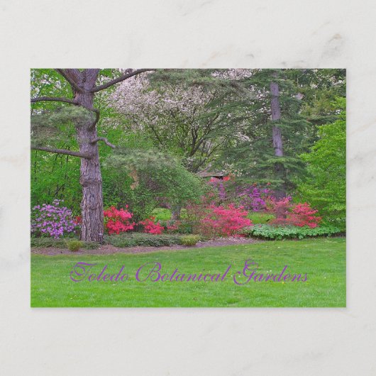 TOLEDO BOTANISCHE GARDENEN, SPRING, BRIEFKAART (Voorkant)