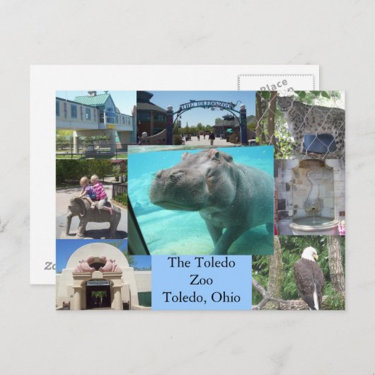 Toledo Zoo Briefkaart (Voorkant / Achterkant)