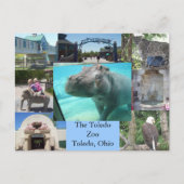 Toledo Zoo Briefkaart (Voorkant)