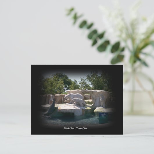 Toledo Zoo Polar Bear Statue Postcard Briefkaart (Staand voorkant)