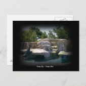 Toledo Zoo Polar Bear Statue Postcard Briefkaart (Voorkant / Achterkant)