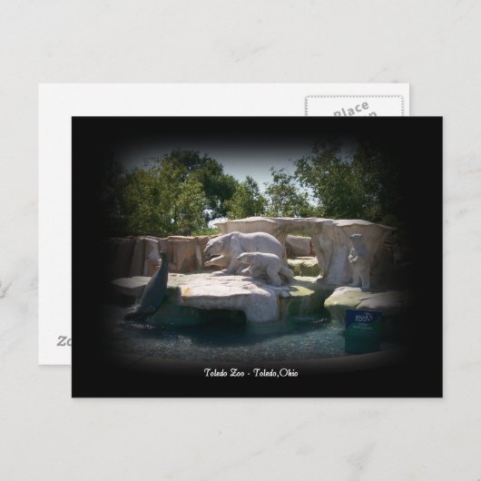 Toledo Zoo Polar Bear Statue Postcard Briefkaart (Voorkant / Achterkant)