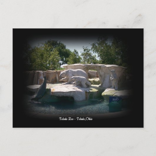 Toledo Zoo Polar Bear Statue Postcard Briefkaart (Voorkant)