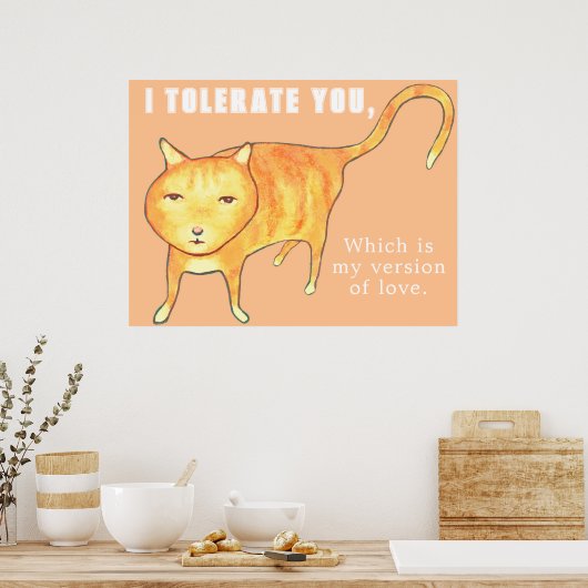 Tolerant Apathetic Orange Cat Poster (Keuken)