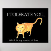 Tolerante Apathische Oranje Kat Poster (Voorkant)